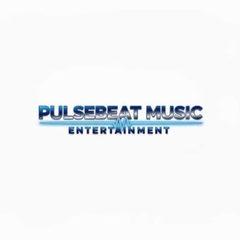 PulseBeat Music Entertainment
