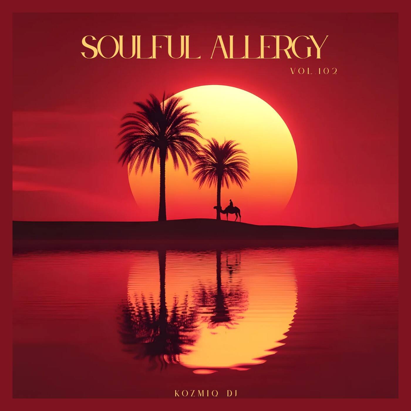 Soulful Allergy Vol.102 (Birthday Mix) episode artwork