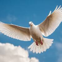 Beethoven - Ode an die Freude [Lino Casu Version] by Lino Casu