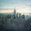 walid8600