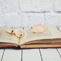 Ekumeniskie koncili Baznīcā | RML S08E09 | Pr. Ilmārs Tolstovs | 17.05.2023 by Radio Marija Latvija