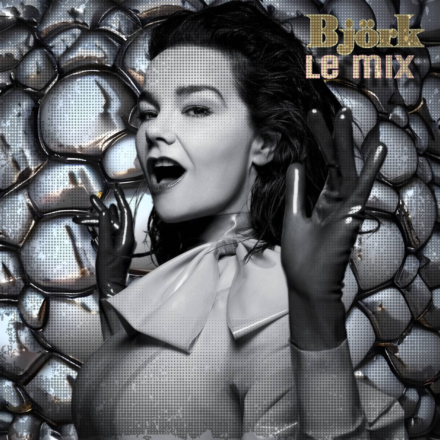 Björk le miX episode artwork