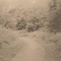 입 by Dislocated Days