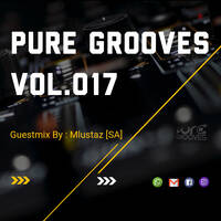 Pure Grooves Vol.017 Guestmix by Mlustaz [SA]