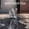 Baria Lucky