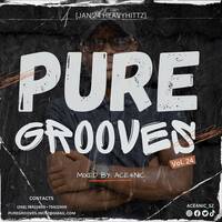 Pure Grooves Vol.24 Mixed By. ACE4NIC [Jan'24 Heavyhittz] by Pure Grooves Music SZ