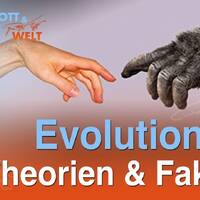 Evolution - Theorie &amp; Fakten mit Armin Risi by NuoFlix