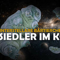 Bärtierchen: Botschafter der Menschheit für Aliens - und warum wir 2254 auf Proxima Centauri landen by NuoFlix