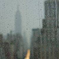 the durango dragonflies ::: dUsKbErG by the durango dragonflies