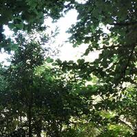 Instantané by Gérard Delassus