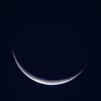 Zoe Gray ゾーイグレイ