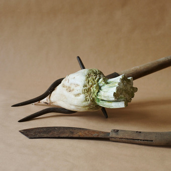 Geschichten aus der Heimatstube