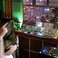 Last Night A Streaming Saved My Life X Mr Afterparty by Sebastien Leger by Techno Music Radio Station 24/7 - Techno Live Sets