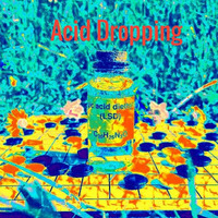 Acid Dropping EP (Funtime Records) by Adam Fieled