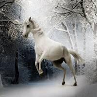 Winterfun by TES-Techno