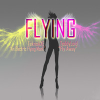 Flying (TeddyLoid/TeknoAXE) EDM Mashup by The Mashup Wyvern