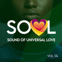 SOUL Vol 14 by The Jazz
