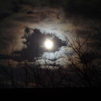 Grenzpunkt Null - Aber das Licht wird von hinten auf die Nacht fallen. by Grenzpunkt Null Sound