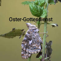 05.04.26 | Oster-Gottesdienst | Tanja Mühlan by ChristusZentrum Braunschweig