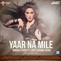 Yaar Na Mile Tandav Studios &amp; Amit Sharma Remix by dj songs download