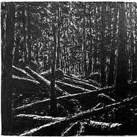 DJ PEDRO 2025 cold mix by DJ PEDRO