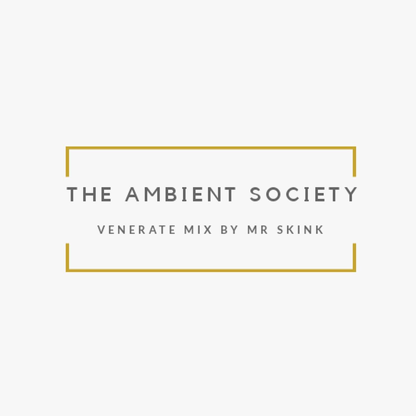 The Ambient Society Venerate Mix By Mr Skink episode artwork