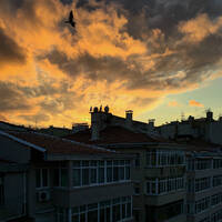 Ay Palas 20.01.2025 @ ApAcik Radyo by Ay Palas