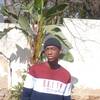 TP Nizzer II