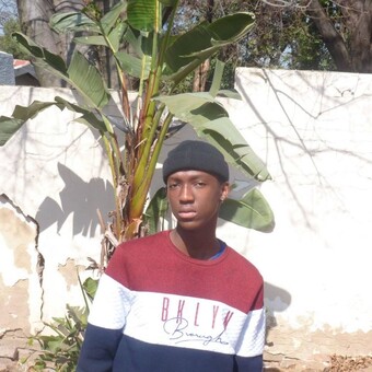 TP Nizzer II
