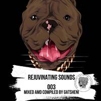REJUVINATING SOUNDS 003 by MFANA KA GOD