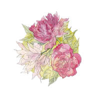 Deviations by victorgashnikov