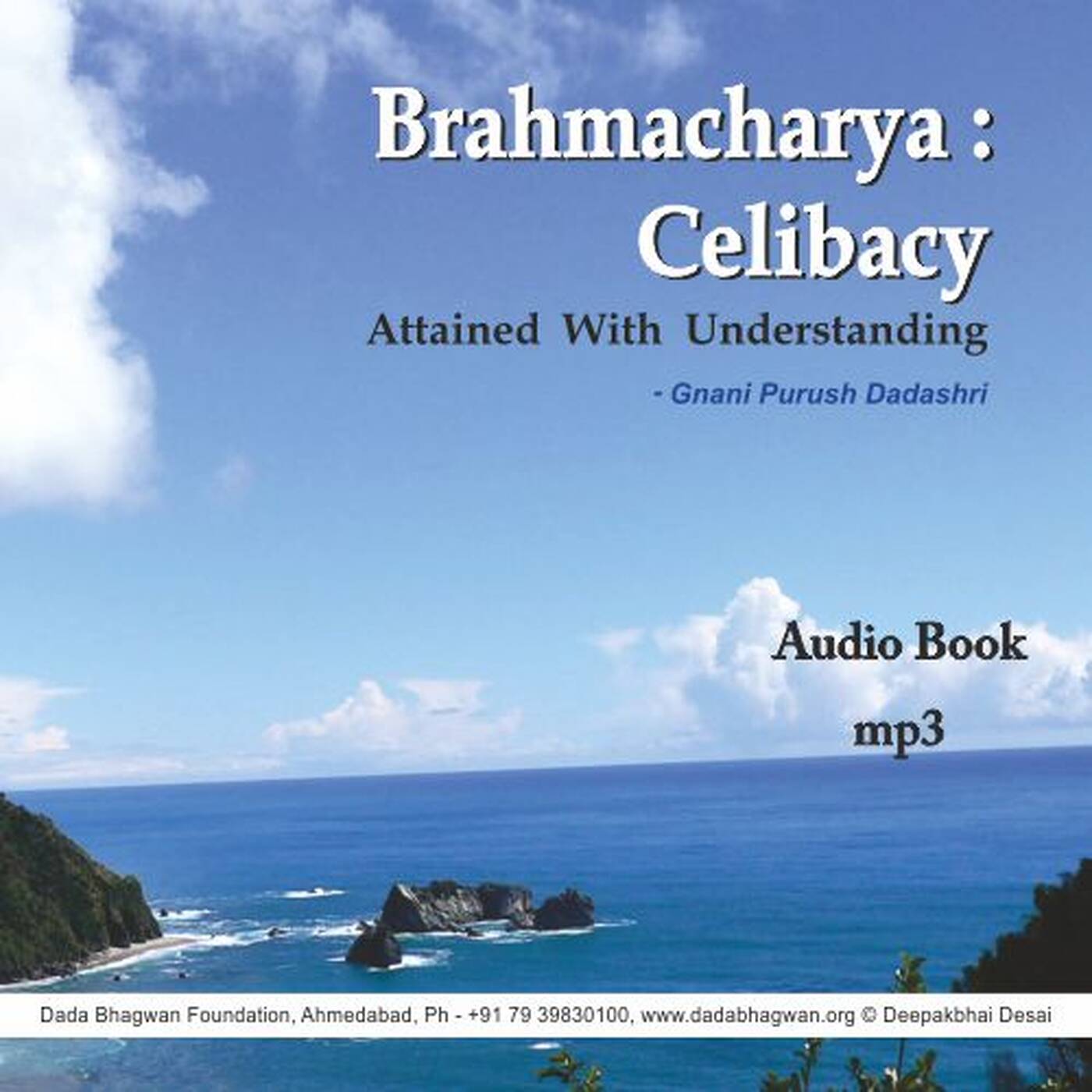 02 Celibacy With Understanding Preface episode artwork