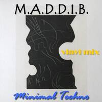 M.A.D.D.I.B. Minimal Techno - Acid - Deep - Dub - Insane - Breaks | Vinyl Mix 1993-2024 | 3 turntables Dj set by Another Beat in the Air