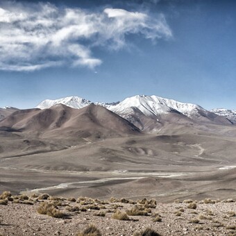 Quantum Life Studios