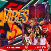 VIBES VOL.5 Deejay Niche254 RH EXCLUSIVE by Haniel