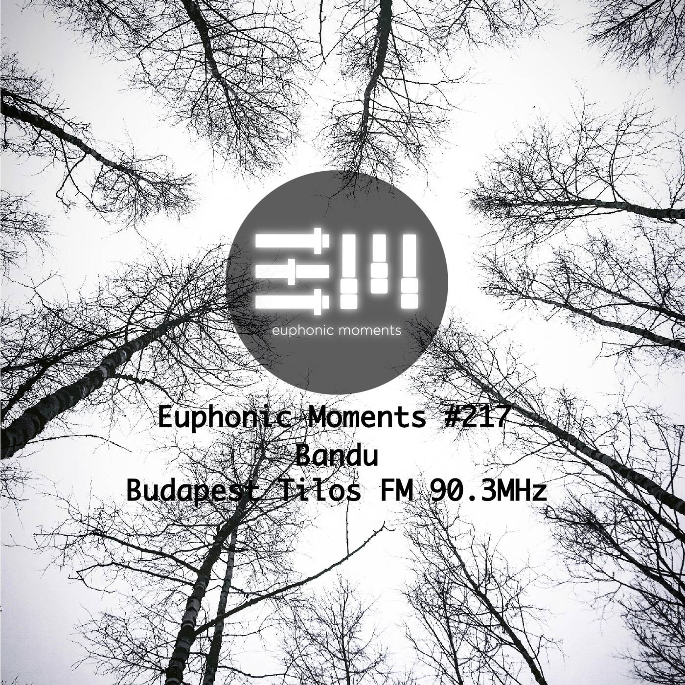 Euphonic Moments # 217 Banduu episode artwork