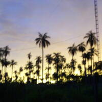 Solo en la noche by Hans Krauß