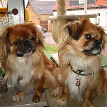 Edeltraud Lennicke - Lenny