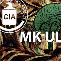 MK Ultra - Geheimprojekt der CIA: Im Gespräch mit Marcel Polte by NuoFlix
