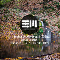 Euphonic Moments # 230 Apjok Csaba by Euphonic Moments
