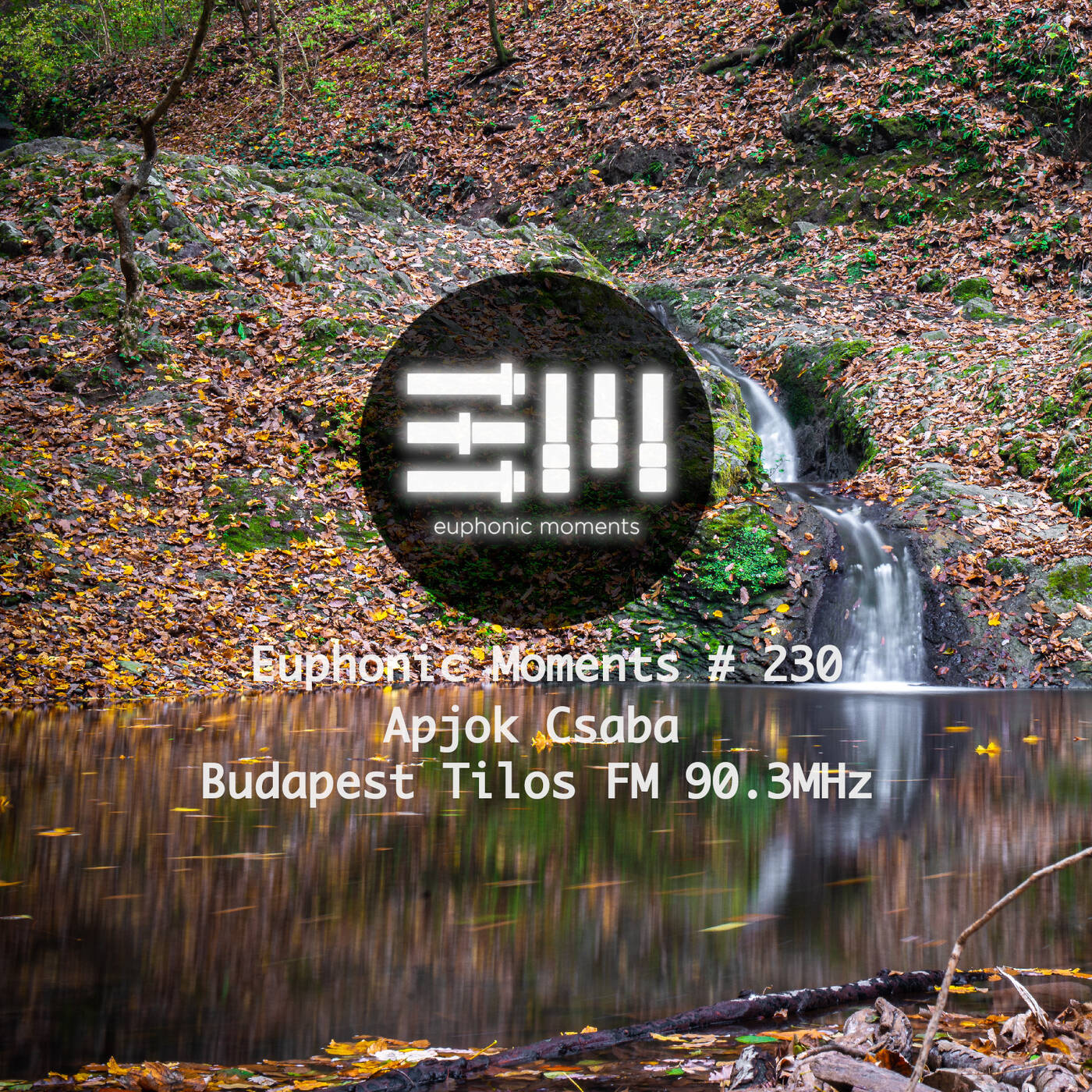Euphonic Moments # 230 Apjok Csaba episode artwork