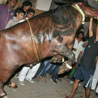 DAGA DAGA DIPALLA JATHARA SADAR SONG REMIX BY DJ SAI PRASAD by www.Djoffice.in