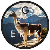 Llamas Running Wild by GenErik