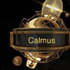 DJ Calmus