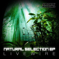 Livewire - Natural Selection VIP by Livewire / Next Chapter (daveylivewire)