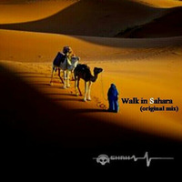 Walk In Sahara (original Mix) by Dj Shah by shah