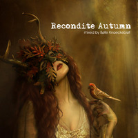 Recondite Autumn - Cloudines Notizen Podcast #8 by Makrohouse