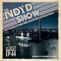 The NDYD Radio Show EP44 by Ricardo Torres |NDYD