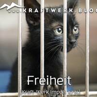 Gottes Geschenk der Freiheit [#0598] @Kraftwerk_MaxFichtner by Frank Vornheder