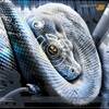 wEbAddEr